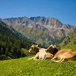 Bellezza